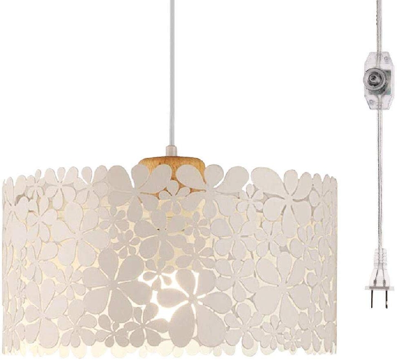 KIVEN Metal Hanging Lights with Plug in Cord and On/Off Dimmer Switch